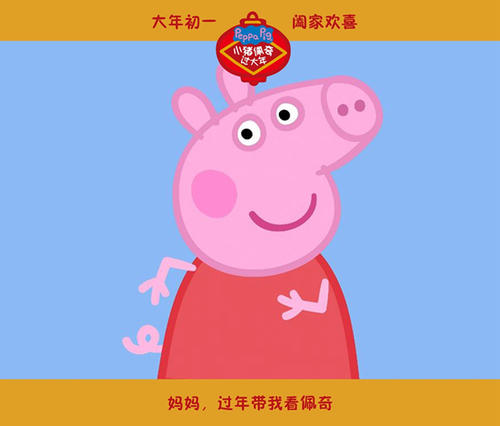 南爱达荷学院学士证书